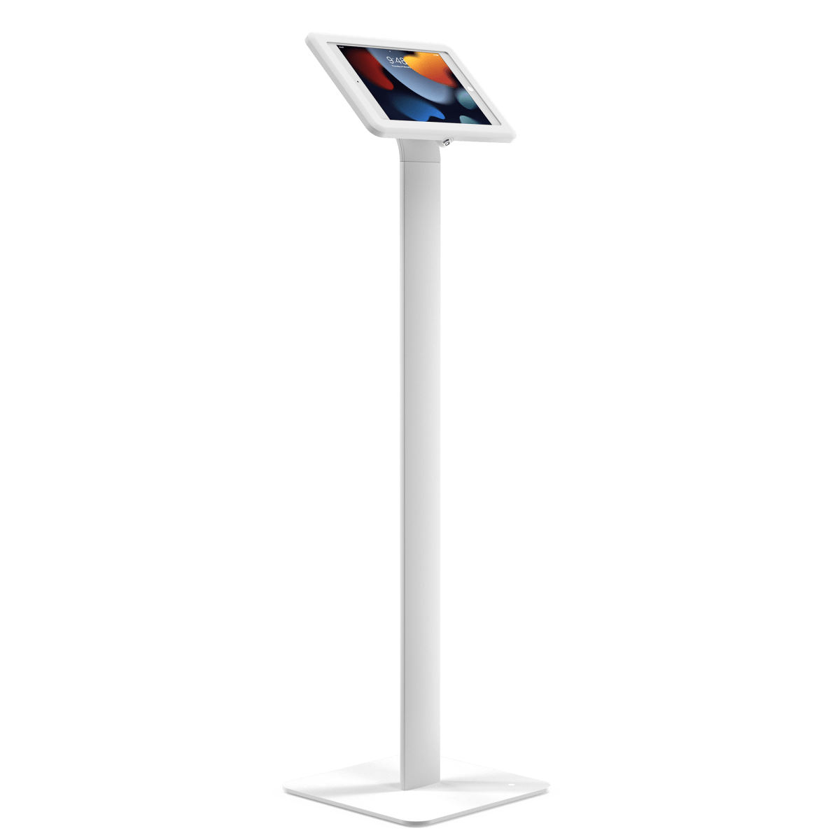 Elite Evo - Zemin Standı